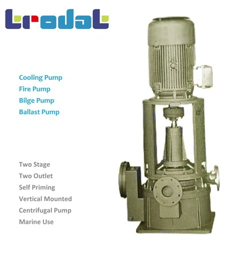Bomba marítima autoescorvante vertical de dois estágios e duas saídas da série TDEP CLZ-2